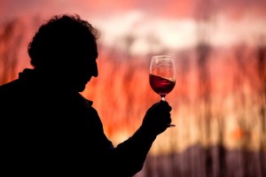 Wine tours in Mendoza - The romance of wine at the foot of the Andes. Unique experience